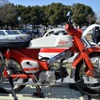 U1000 inしらこばと公園クラシックカーフェスティバル2022