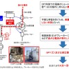 火災が拡大した原因（推定）。異常電圧が発生しても保護装置が機能せず、過大な電流が流れ続けた結果、GPTと主変圧器の焼損を招いた。