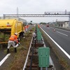 雑草の草刈