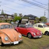 さくらモーニングクルーズVol.113