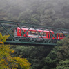 「出山の鉄橋」として知られる早川橋梁を渡る箱根登山鉄道の『アレグラ号』。