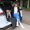犬を車内のどこに乗せるか問題の結論