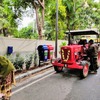 ベンガルールの朝の街角。都心でも貨物車としてトラクターが活躍中