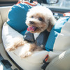 ペット用多機能カーシート登場、分厚いクッションで愛犬を守る…ベッドやキャリーにも利用可