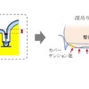 フロントシート断面模式図