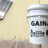 GAINA（参考画像）