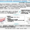 介護者なき後を見すえた日常生活支援事業の概要