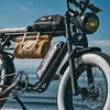 電動アシスト自転車 バッファローズ