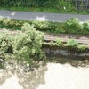 被災からまもない頃に写された米代川護岸（十和田南～末広間）の俯瞰。