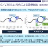 EVバッテリーによる需要創出