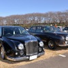 さくらモーニングクルーズ Vol.122