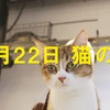 2月22日は猫の日