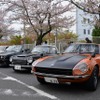 桜吹雪と名車の饗宴…オールドカーミーティングin清久さくらまつり