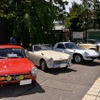 昭和の車と音楽を楽しむ集い
