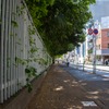 日陰（イメージ）