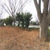 （イメージ）