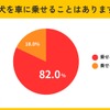 犬を車に乗せることはありますか？