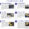 大量飛散の花粉に黄砂…“愛車が汚れる春”にプロが教える洗車の基本