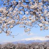 東北道（イメージ）