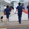 静岡空港にも麻薬探知犬が出張