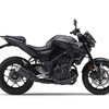 ヤマハ MT-25 ABS 2024年モデル（マットダークグレーメタリック8）