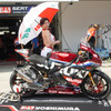 #12 ヨシムラ SERT Motul（鈴鹿8耐2024）