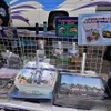 湾岸バスフェスタ2024夏