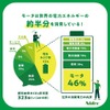 モータインパクトレポート