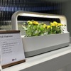 LGのLEDプランター。LGのほかボッシュなどの製品もあり