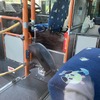 教習車は左前輪前に助手席とプレーキがある