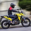 スズキ Vストローム250SX