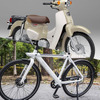 2択アンケート「近距離の足として使うなら、原付？ 電動アシスト自転車？」【クルマら部 車論調査】