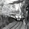 おとぎ電車