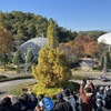 鞍ケ池公園シェイクダウン
