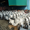 MBSIがバイクを提供するFAEBIKES（フェーバイク）のヤード。納入したての新車がずらり