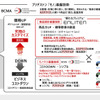 エンライトンとBCMAの関係性模式図