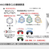 エンライトンとBCMAを組み合わせたタイヤ作り