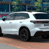 VW ティグアン ブラックエディション