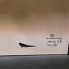 VW ティグアン eTSI R-Line