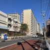 区道・江257号。手前が豊洲方面、奥が住吉方面、左は豊洲小学校