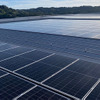 スズキ、初の企業間電力融通システムに参画…太陽光発電の余剰電力を活用