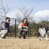 広大なドッグランで愛犬と楽しむ