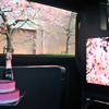 レクサス『LM』を使用した都内桜名所巡りプラン「SAKURA RIDE PLAN」