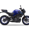 ヤマハ MT-25 ABS（ディープパープリッシュブルーメタリックC）