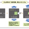 ゴム材料に生じる割れ目や裂け目が進行する「き裂現象」のメカニズム