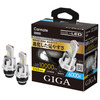 GIGA LEDヘッドバルブ D10 D2S 6000K［BW903］