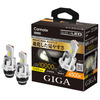 GIGA LEDヘッドバルブ D10 D2S 4500K［BW905］
