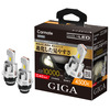 GIGA LEDヘッドバルブ D10 D4S 4500K［BW906］
