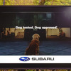 北米では既にTVCMに犬を積極的に活用しているという。