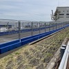 ターン16。進行方向は画面右奥から左手前（5月11日）